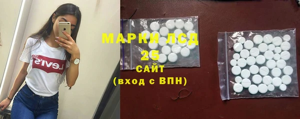 индика Заволжск