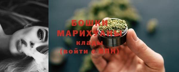 индика Заволжск