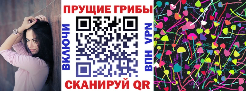 Галлюциногенные грибы Magic Shrooms  Купить где  Ртищево 